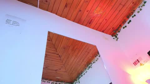 Naia x online show from January 2026 08:21:02 PM