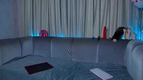 Nally online show from February 2025 08:07:01 AM