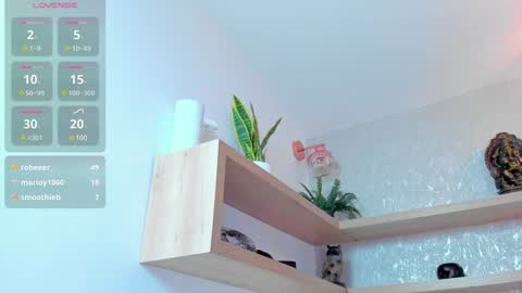   online show from December 2024 12:20:01 AM