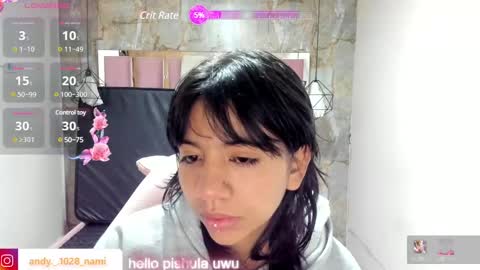 Snapshot of nami_usagi chatting on February 2025 10:54:01 AM nami_usagi online show from February 2025 10:54:01 AM