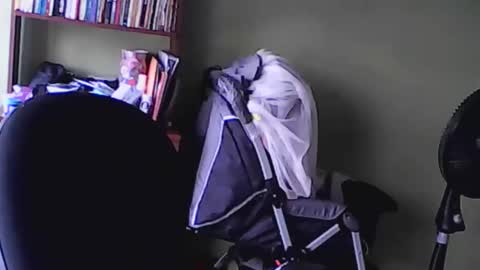 nana_666_ online show from November 2025 09:20:01 PM