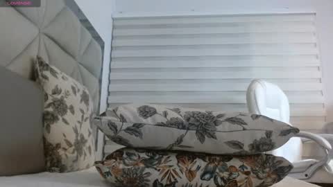 Snapshot of nana_levy chatting on February 2025 06:39:01 AM Nana levy online show from February 2025 06:39:01 AM