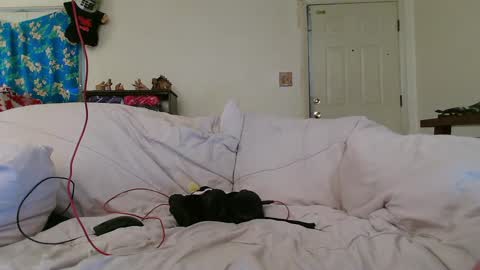 Snapshot of nannabaldur chatting on December 2024 08:32:02 PM Nanna Baldur online show from December 2024 08:32:02 PM