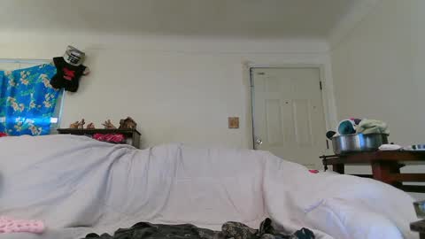 Snapshot of nannabaldur chatting on December 2024 08:34:01 PM Nanna Baldur online show from December 2024 08:34:01 PM