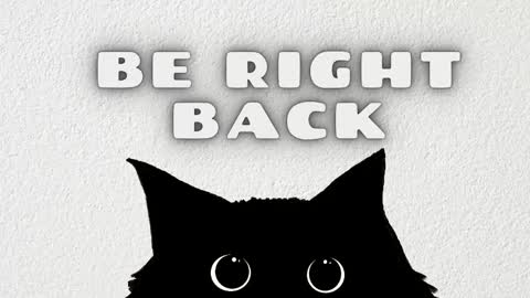 Nataly online show from January 2026 11:36:02 AM