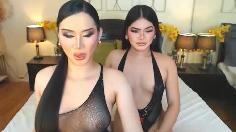 F R A N Z I A online show from November 2025 10:04:02 AM