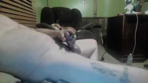 Snapshot of ned_is_naughty chatting on March 2025 10:24:01 AM ned is naughty online show from March 2025 10:24:01 AM