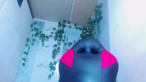 negrita online show from February 2026 11:05:02 AM