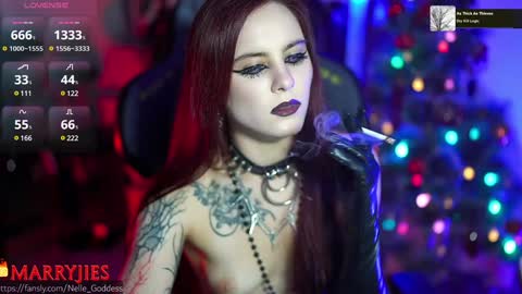 Snapshot of nelle_ chatting on January 2025 12:44:02 PM online show from January 2025 12:44:02 PM