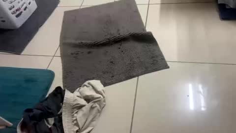 nesquick741960 online show from December 2025 12:02:02 PM