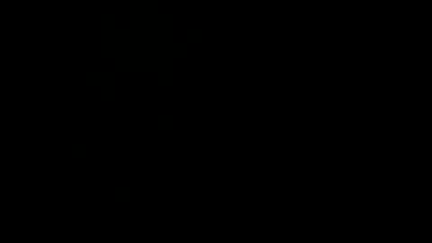 never_forget_this online show from February 2025 09:41:02 PM