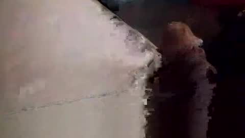 Matt online show from November 2025 09:03:02 PM