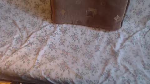 Lilly  online show from February 2025 12:08:01 PM