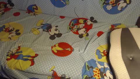 Lilly  online show from October 2025 03:03:02 AM