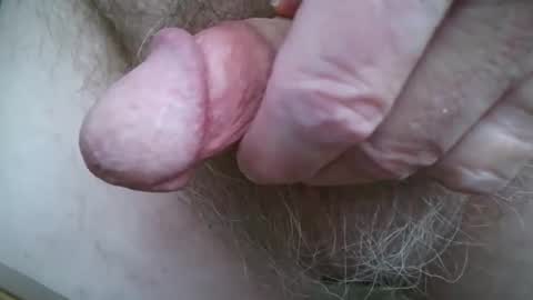 Snapshot of newc09 chatting on February 2025 03:43:01 PM newc09 online show from February 2025 03:43:01 PM