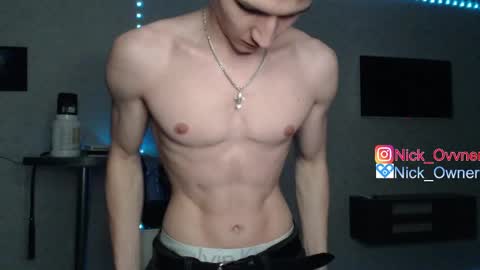 Snapshot of nick_owner chatting on February 2025 04:37:01 PM Nick online show from February 2025 04:37:01 PM