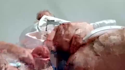 TheCock online show from December 2024 08:58:02 AM