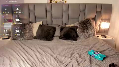 Snapshot of nickytouse chatting on February 2025 03:06:02 AM Nicky online show from February 2025 03:06:02 AM