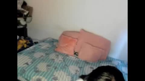 Nicole jaymes online show from February 2026 06:15:02 PM