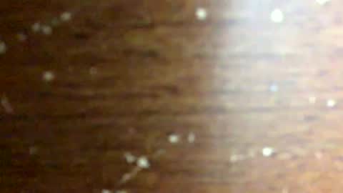 nightmoves1970 online show from February 2026 03:46:02 AM