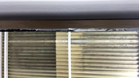 Nikki  online show from October 2025 03:07:02 AM