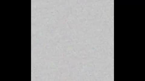 Nikki Ramone   online show from January 2026 11:14:02 AM