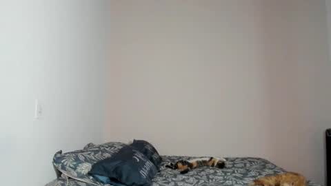 Snapshot of nina_pons chatting on November 2025 08:41:02 PM Nina online show from November 2025 08:41:02 PM