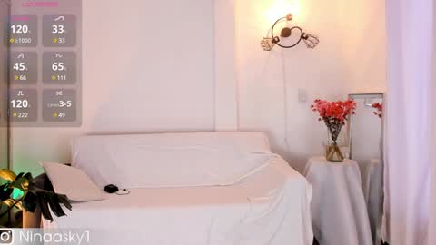 Snapshot of ninaa_sky chatting on December 2024 06:39:01 PM online show from December 2024 06:39:01 PM