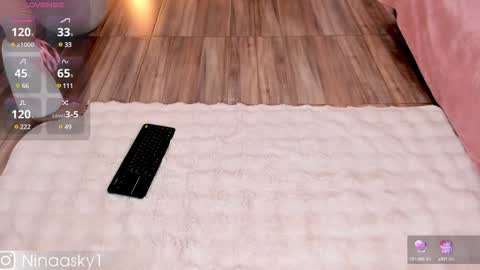 Snapshot of ninaa_sky chatting on December 2024 04:09:02 PM online show from December 2024 04:09:02 PM