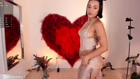 Snapshot of ninaa_sky chatting on February 2025 10:58:01 PM online show from February 2025 10:58:01 PM