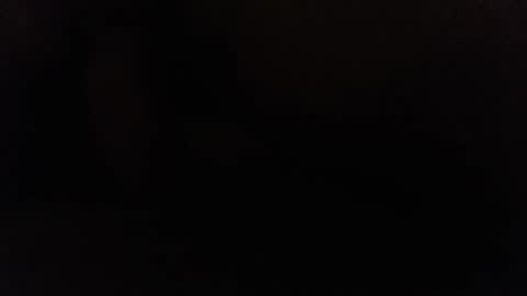 Ninjadance online show from December 2024 11:01:01 AM