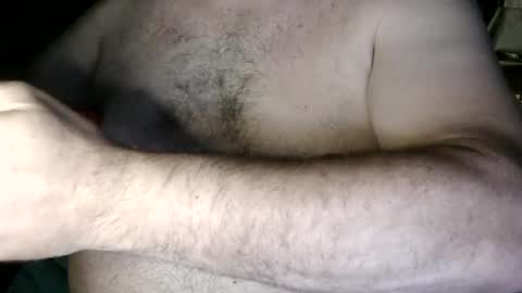 Nip Fun Bear online show from September 2025 01:42:01 AM