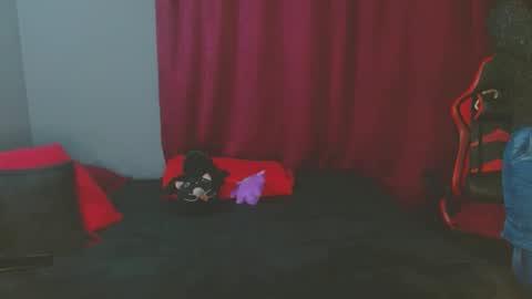 Noamartin online show from February 2025 01:59:02 AM