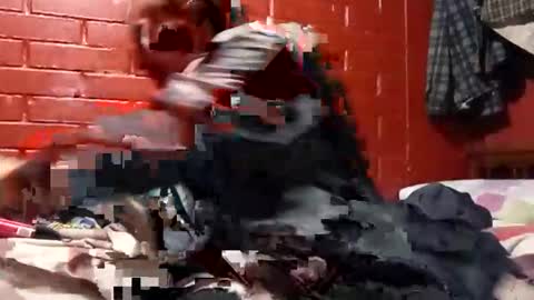 nocturnus1980 online show from November 2025 01:15:02 AM