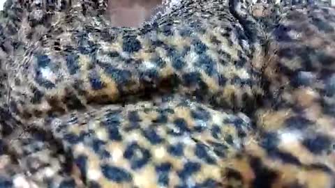 nora_roy246 online show from January 2026 05:54:02 AM