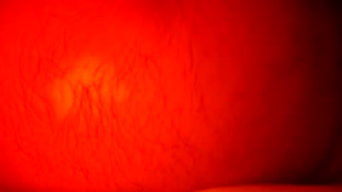 norbitomii online show from September 2025 10:57:02 PM