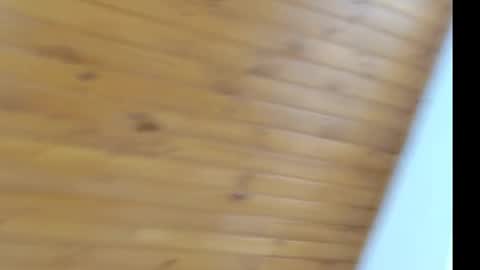 Snapshot of novaperotti chatting on March 2025 06:44:02 PM novaperotti online show from March 2025 06:44:02 PM