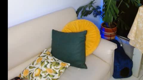 Snapshot of novaperotti chatting on October 2025 11:35:01 PM novaperotti online show from October 2025 11:35:01 PM