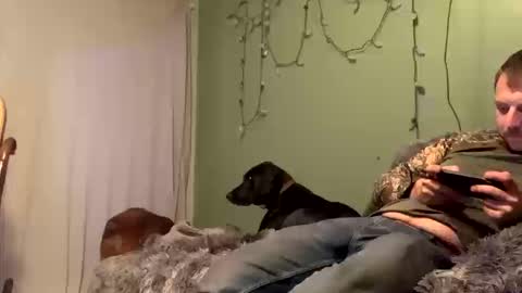 nsy57528 online show from October 2025 12:00:01 AM