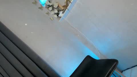 obeymycurves online show from January 2026 02:49:02 AM