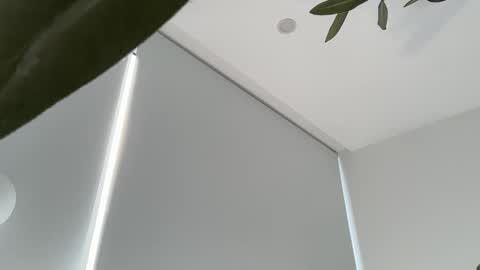 Olivia Brookes online show from November 2025 09:19:01 PM