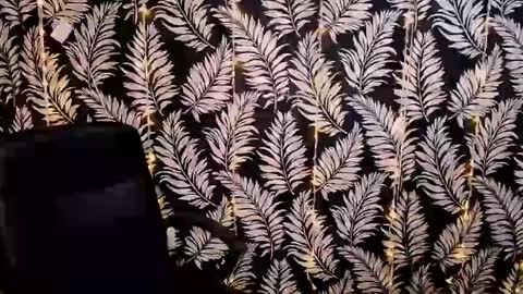 Kelly online show from January 2025 12:18:01 PM