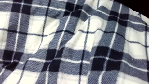 onanii21 online show from January 2025 01:58:01 AM