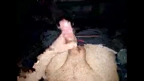 opelator online show from January 2025 06:20:02 PM