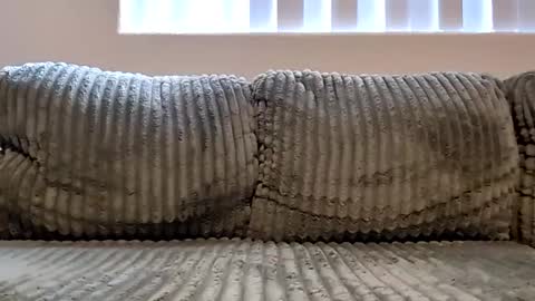 Snapshot of or2jrz chatting on November 2025 05:17:02 PM or2jrz online show from November 2025 05:17:02 PM