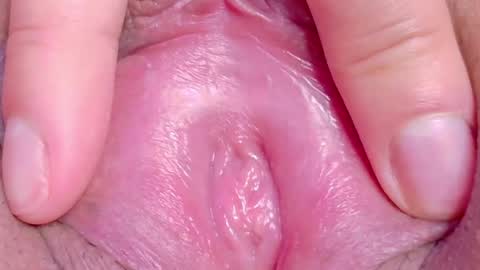 orchidekitty online show from June 2026 11:10:02 PM