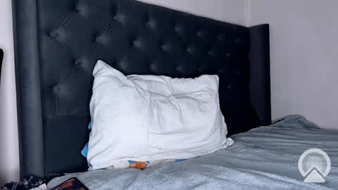 Snapshot of origamicat chatting on January 2025 12:22:02 PM origamicat online show from January 2025 12:22:02 PM