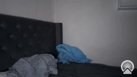 Snapshot of origamicat chatting on February 2025 03:20:02 PM origamicat online show from February 2025 03:20:02 PM