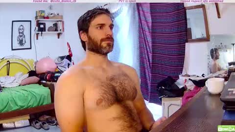 Snapshot of osito_blanco chatting on December 2025 11:19:01 AM Osito Blanco online show from December 2025 11:19:01 AM