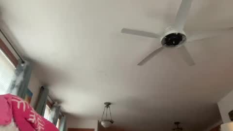 Snapshot of paisleysnowxo chatting on October 2025 05:36:02 PM paisleysnowxo online show from October 2025 05:36:02 PM